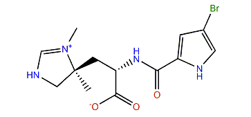 Clathramide A